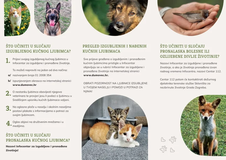 Infocentar za izgubljene i pronađene životinje 2_s