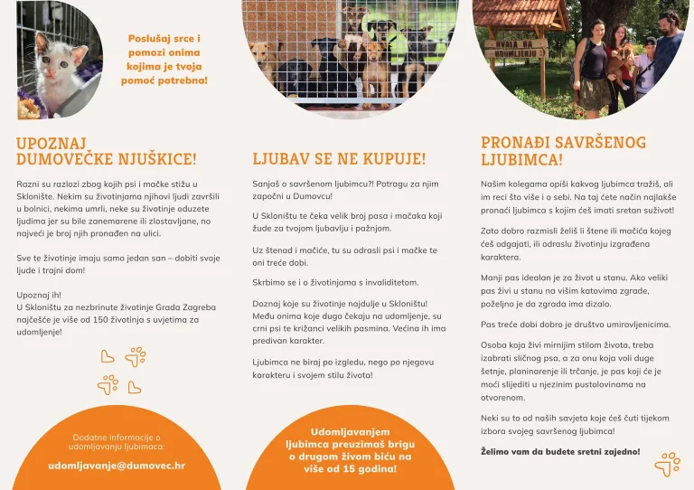 Udomljavanje pasa i mačaka 2_s