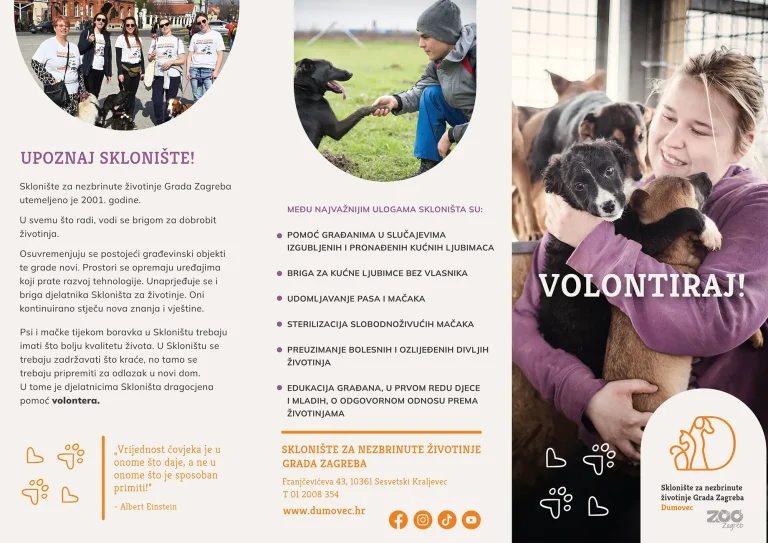 Volontiranje 1_s